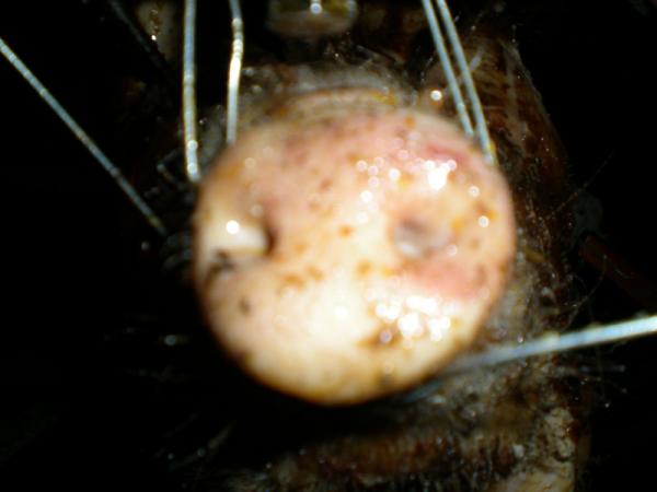 DSCN1653