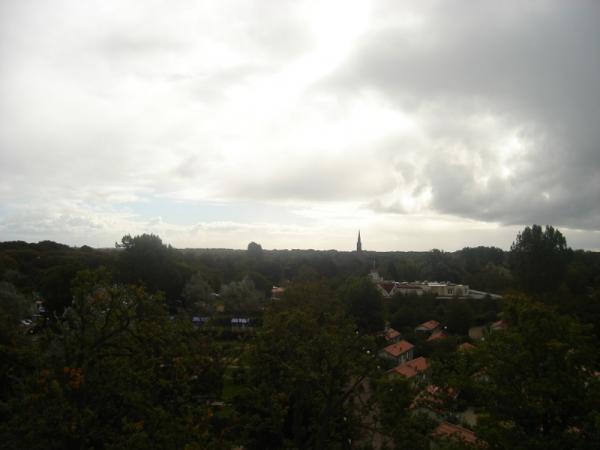 DSC01146